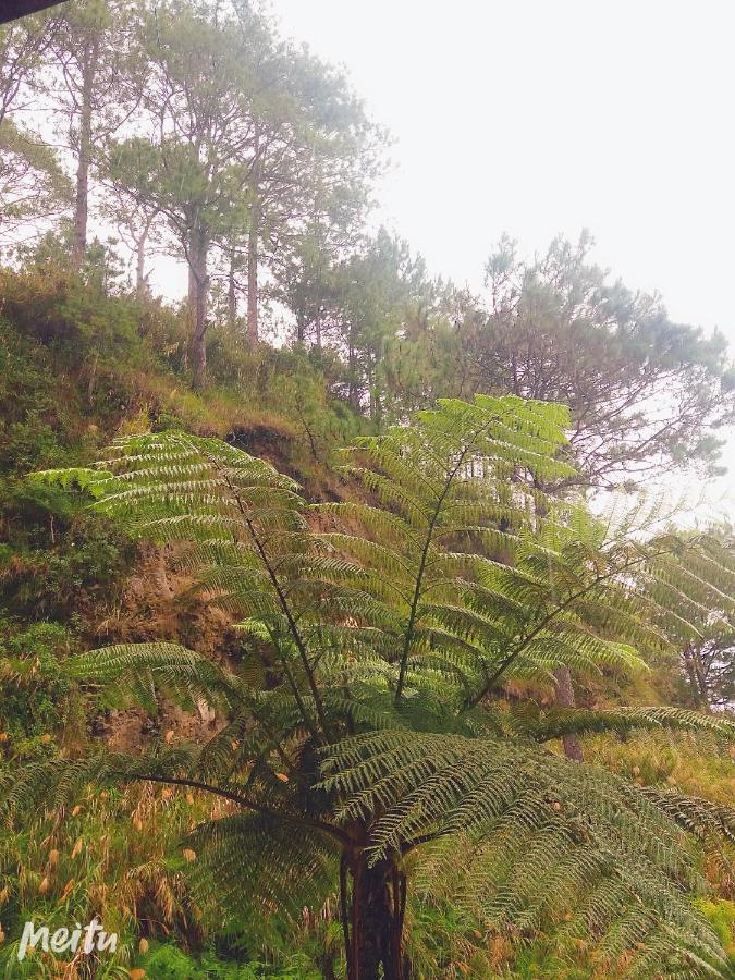 Lodge Family Unit At Soleil De Sagada